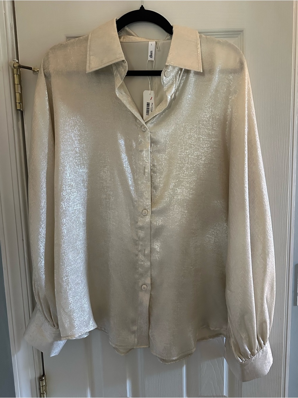 glam Shimmery Cream Button-Down Blouse